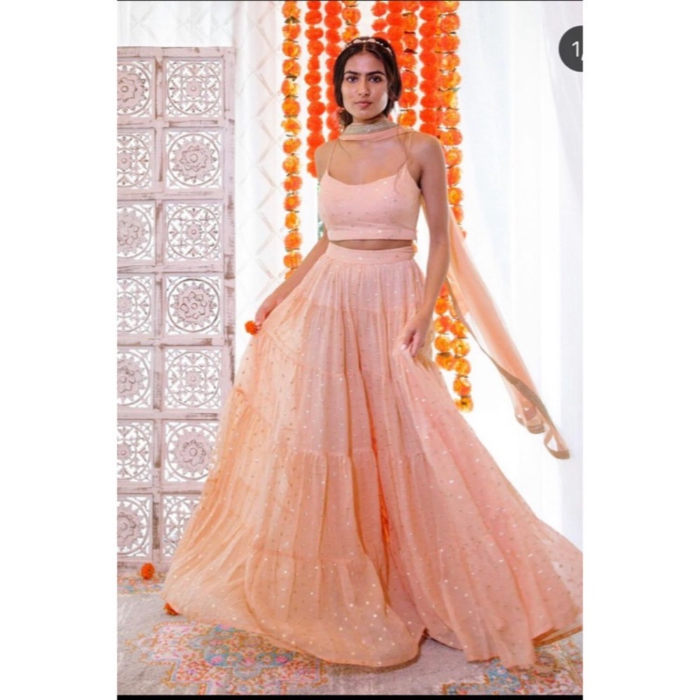 Crop top and palazzo wide pants with dupatta.